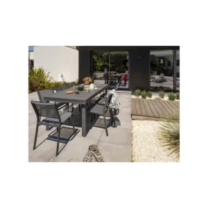 Table de jardin Copenhague 200/300 x 100 cm Authentique