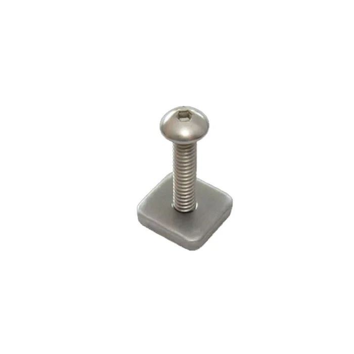 Seulement Aujourd'hui Longboard Screw and Plate