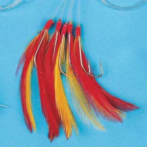 Prix Cassé PLUME CLASSIC 7 HAM 3/O - ROUGE/JAUNE