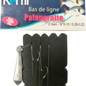 Paiement Sécurisé PALANGROTTE 2 AVANÇONS HAM N°8 ET N°10 PLOMB 30 G