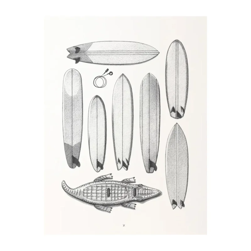 Nouveauté Quiver