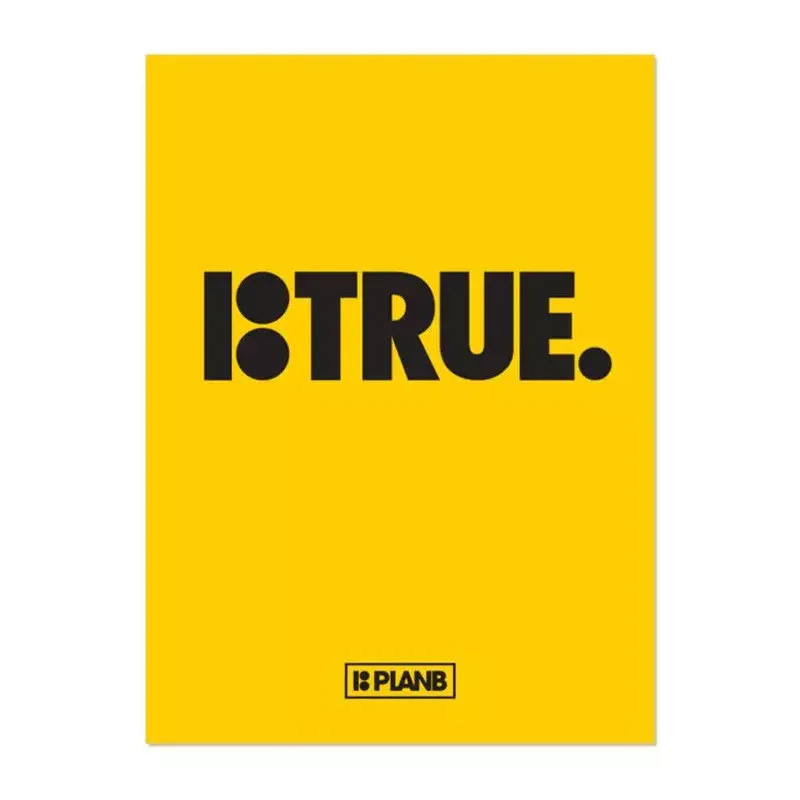 DVD PLAN B true Dernier Modèle