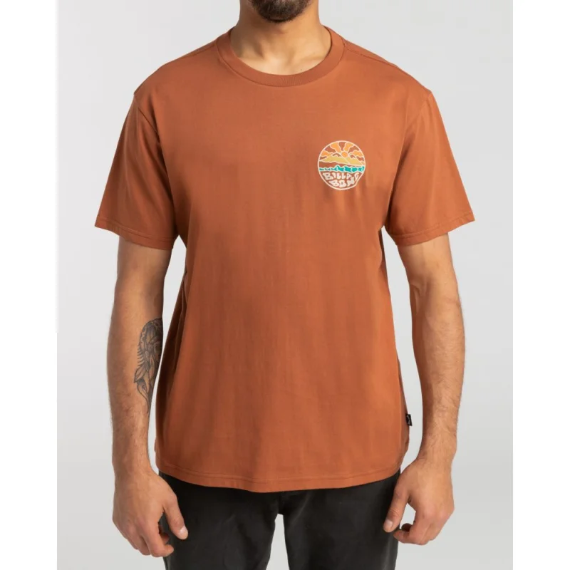 Acheter Direct T-SHIRT BILLABONG SHINE