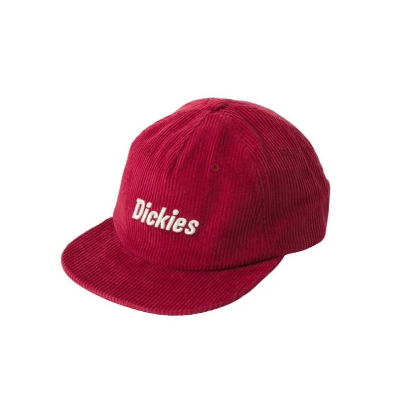 CASQUETTE DICKIES WILLISTON Acheter Direct