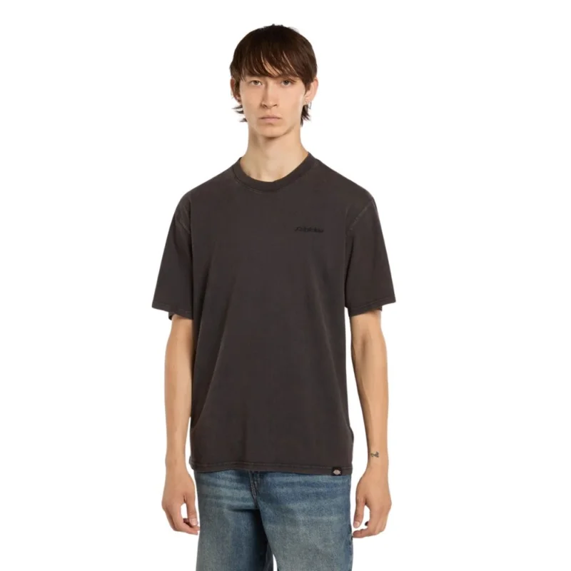Vente Directe T-SHIRT DICKIES PLENTYWOOD