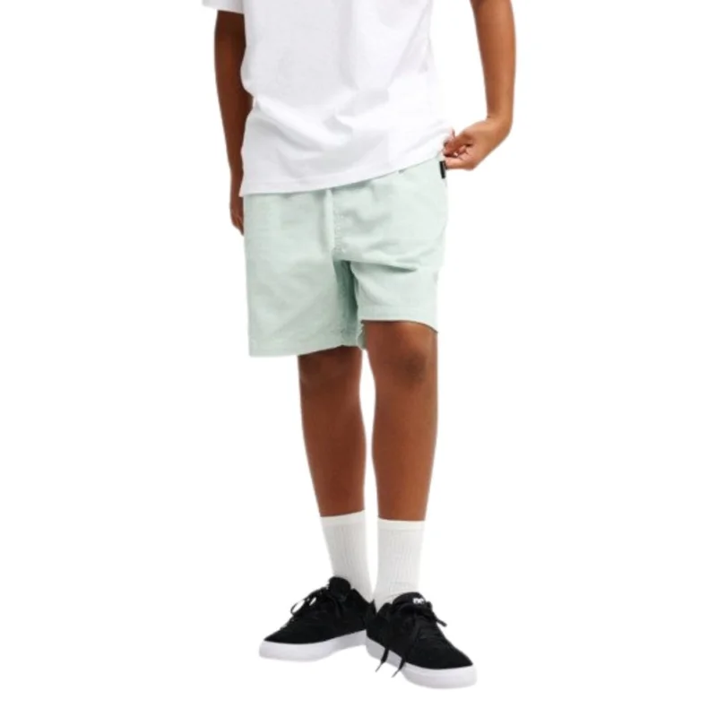 Offre Exclusive SHORTS QUIKSILVER TAXER CORD