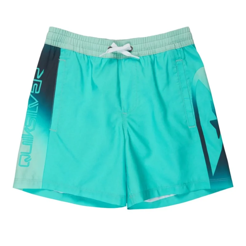 Meilleure Vente BOARDSHORT QUIKSILVER EVERYDAY HOLMES VOLLEY