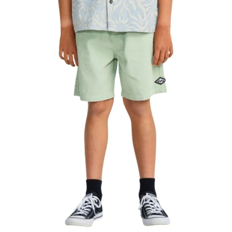 Meilleure Vente SHORTS BILLABONG LARRY CORD
