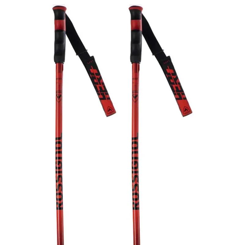 Expédition Rapide Rossignol Bâtons Hero Gs-Sg