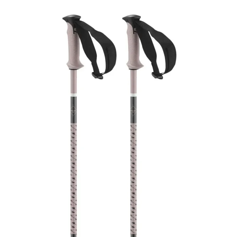 Salomon Bâtons Polar Pro Solde