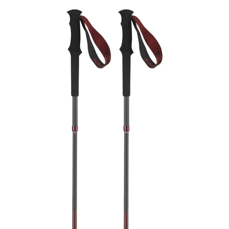 Usine Directe Salomon Bâtons Quest Carbon Foldable