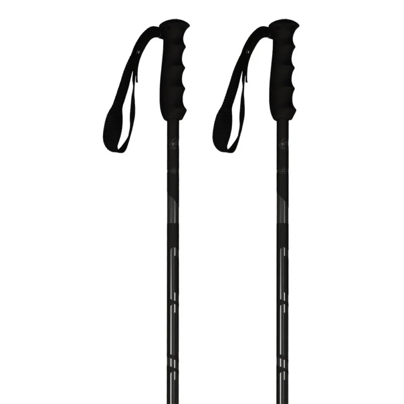 Elan Bâtons Speedrod Acheter En Ligne