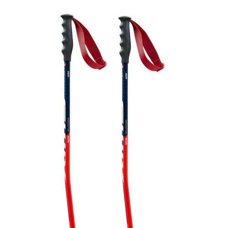 Petit Prix Swix Bâtons World Cup Pro Super-G