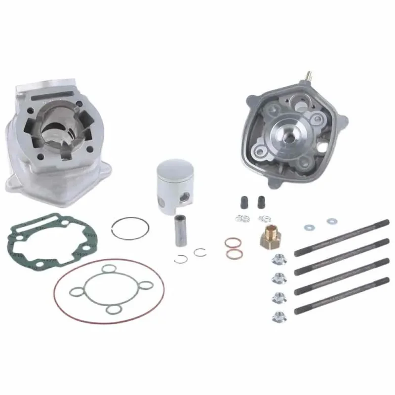 Malossi Cylindre Derbi DRD PRO 50/SM 50 3112977 Livraison Express