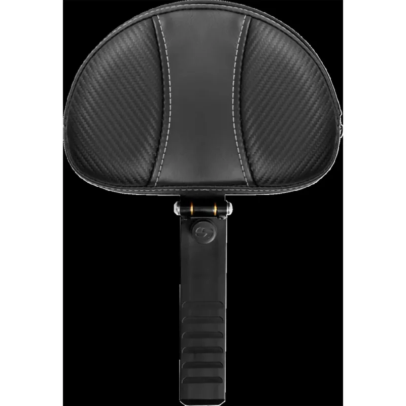 Acheter Direct Saddlemen Dossier Dominator Harley Davidson Rh 1250 S Abs 21-22/Rh 975 Abs 22/Xl 1200 C 04-20