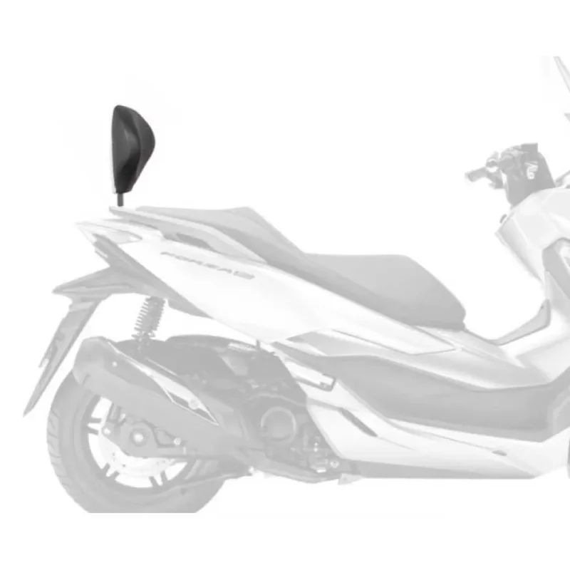 Usine Directe Shad Fixation du dossier Honda Forza 125/300