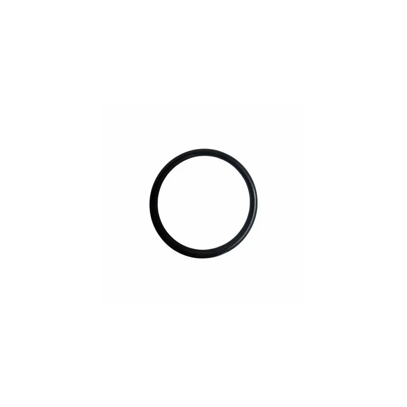Jabsco O-Ring X4020-257A Haute Qualité