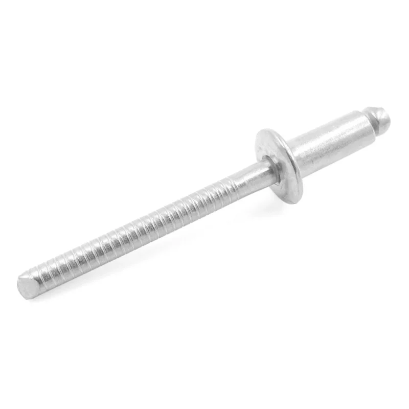 Stainless steel rivets (10 pcs) Bon Plan