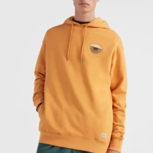 Populaire SWEAT À CAPUCHE O‘neill CAMORRO - NUGGET