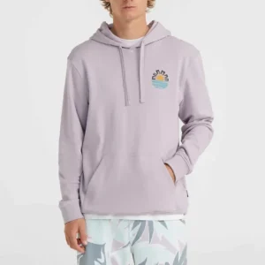Prix Promo Sweat à capuche O‘neill OG SUN - Iris