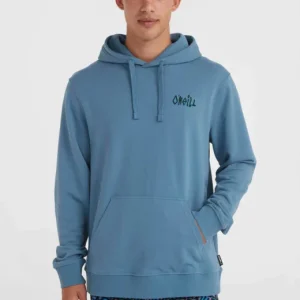 Remise SWEAT À CAPUCHE O‘neill FRAMED - BLEU