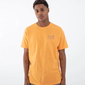 TSHIRT HURLEY - WELLNESS SS Affaire À Saisir