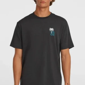 TEE SHIRT ONEILL HOMME - O‘NEILL HYBRID POLYGIENE GRAPHIC T- Offre Spéciale