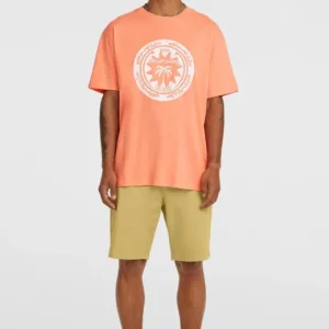 T-SHIRT HOMME MUSTHAVE GRAPHIC O‘NEILL Prix Réduit
