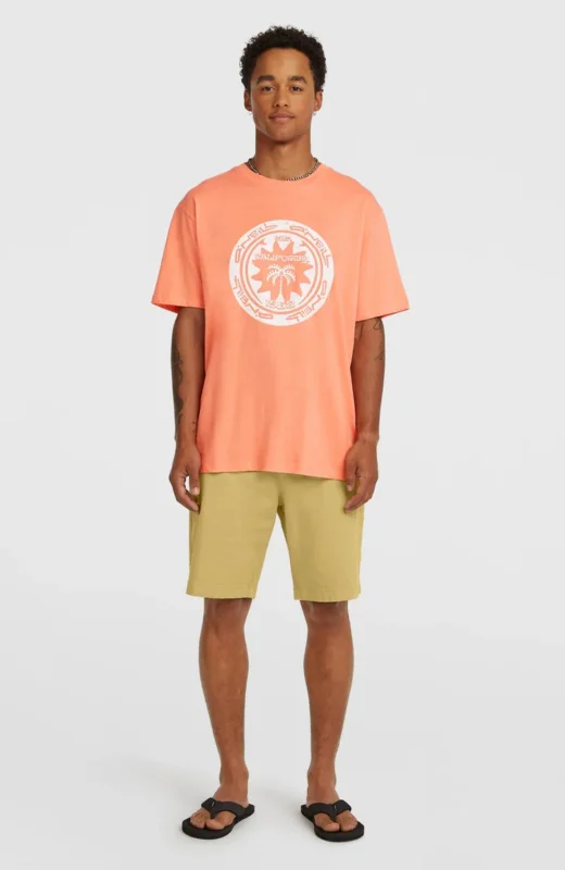 T-SHIRT HOMME MUSTHAVE GRAPHIC O‘NEILL Prix Réduit