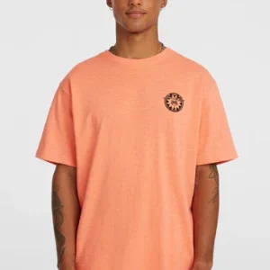 Nouvel Arrivage TEE SHIRT ONEILL HOMME - O‘NEILL SLUB BACK PRINT T-SHIRT