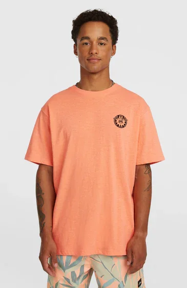 Nouvel Arrivage TEE SHIRT ONEILL HOMME - O‘NEILL SLUB BACK PRINT T-SHIRT