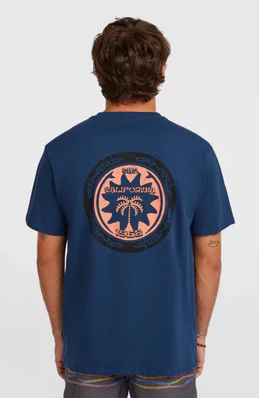 Certifié TEE SHIRT ONEILL HOMME - O‘NEILL SLUB BACK PRINT T-SHIRT