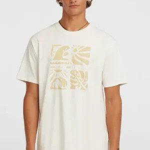 Jusqu'à Épuisement Des Stocks TEE SHIRT ONEILL HOMME - O‘NEILL MELANGE FRONT PRINT T-SHIRT