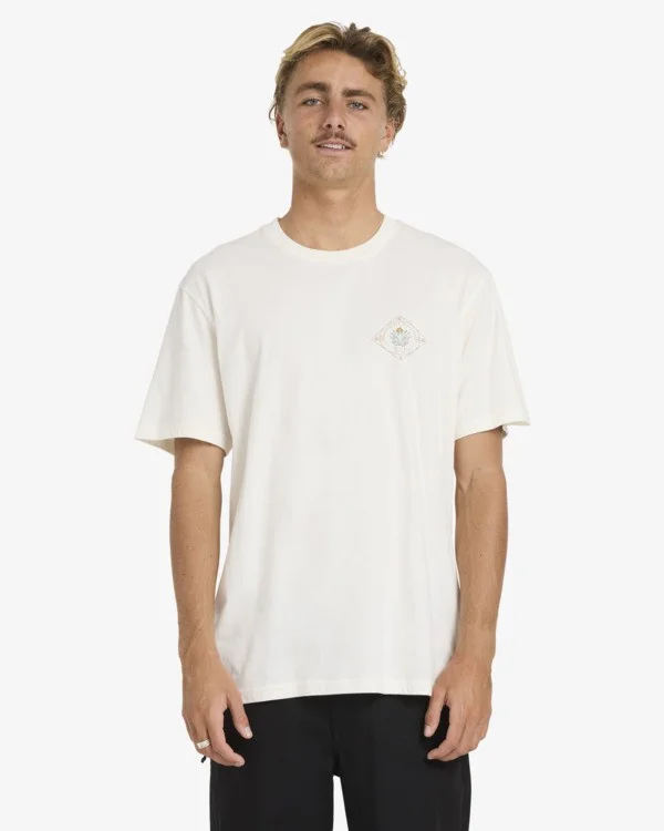 Prix Réduit tee shirt homme billabong - AGAVE ADIV PREMIUM SS