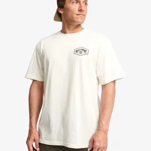 tee shirt homme billabong - SCENIC ARCH ADIV PREMIUM SS Jusqu'à Épuisement Des Stocks