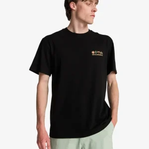 Dernier Modèle tee shirt homme billabong - SEGMENT SS