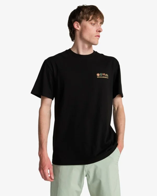 Dernier Modèle tee shirt homme billabong - SEGMENT SS