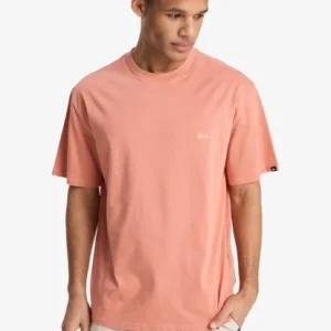 TEE SHIRT QUIKSILVER HOMME - SALT WATER SS Meilleur Prix