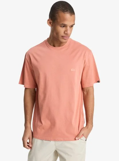 TEE SHIRT QUIKSILVER HOMME - SALT WATER SS Meilleur Prix