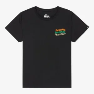 tee shirt garcon quiksilver - EV COSMIC CHARACTER SS BOY Satisfait Ou Remboursé