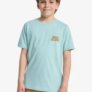 Soldes tee shirt garcon quiksilver - FRUITS TIDE SS