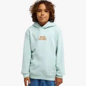 sweat garcon quiksilver - GRAPHIC HOODIE YOUTH Affaire À Saisir