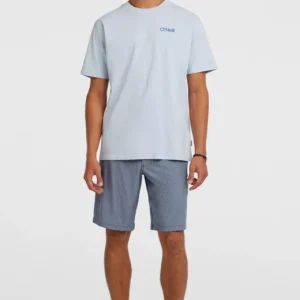 SHORT ONEILL HOMME - O NEILL HYBRID 19 MELANGE SHORTS Commander Vite