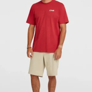 Prix Promo SHORT ONEILL HOMME - O NEILL HYBRID 19 MELANGE SHORTS