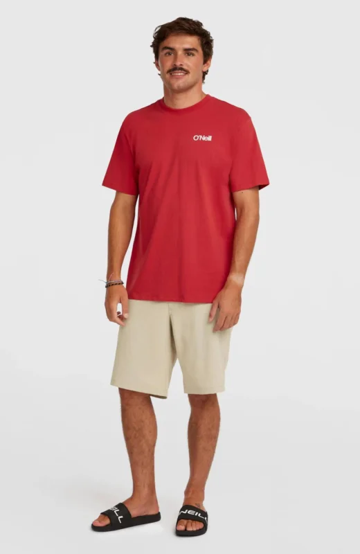 Prix Promo SHORT ONEILL HOMME - O NEILL HYBRID 19 MELANGE SHORTS