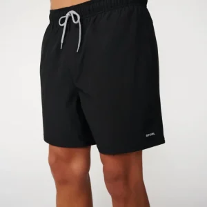 short de bain ripcul - OFFSET DAILY VOLLEY Seulement Aujourd'hui