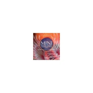Miniterranée Offre Du Jour